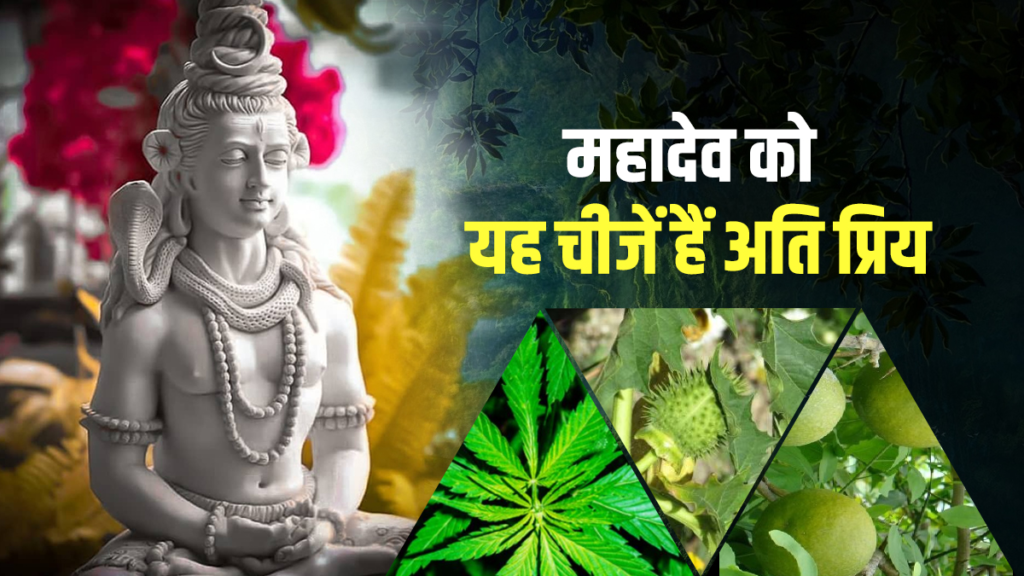 भगवान शिव को बेलपत्र जितना प्रिय है शमी का पत्ता, शिवरात्रि के दिन शिवलिंग पर चढ़ाएं