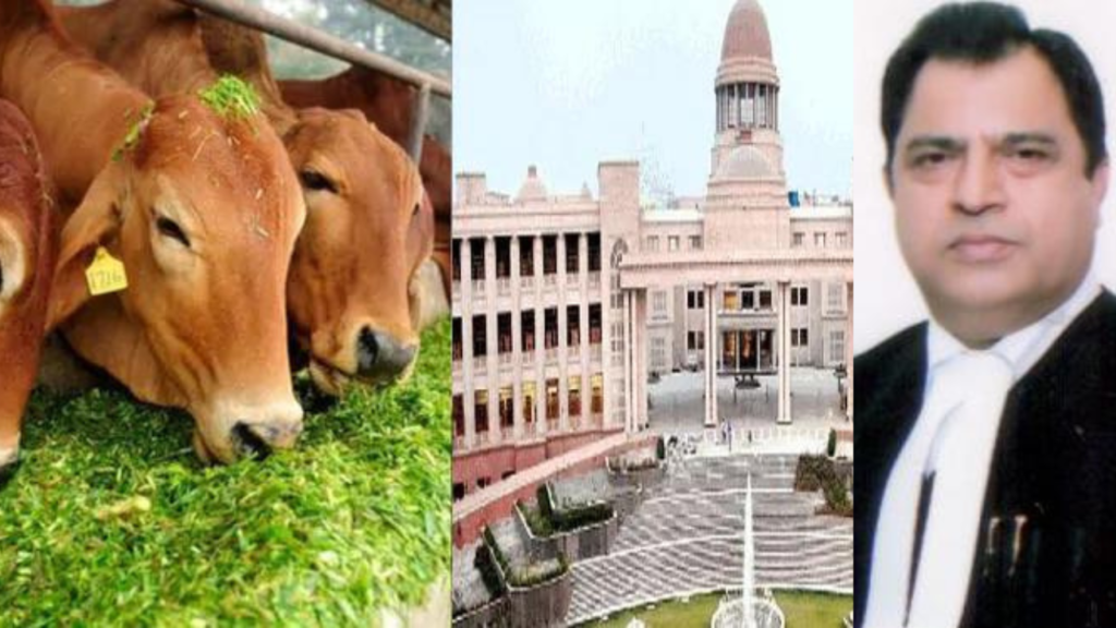 गोवध करने वाले जाते हैं नर्क : कोर्ट