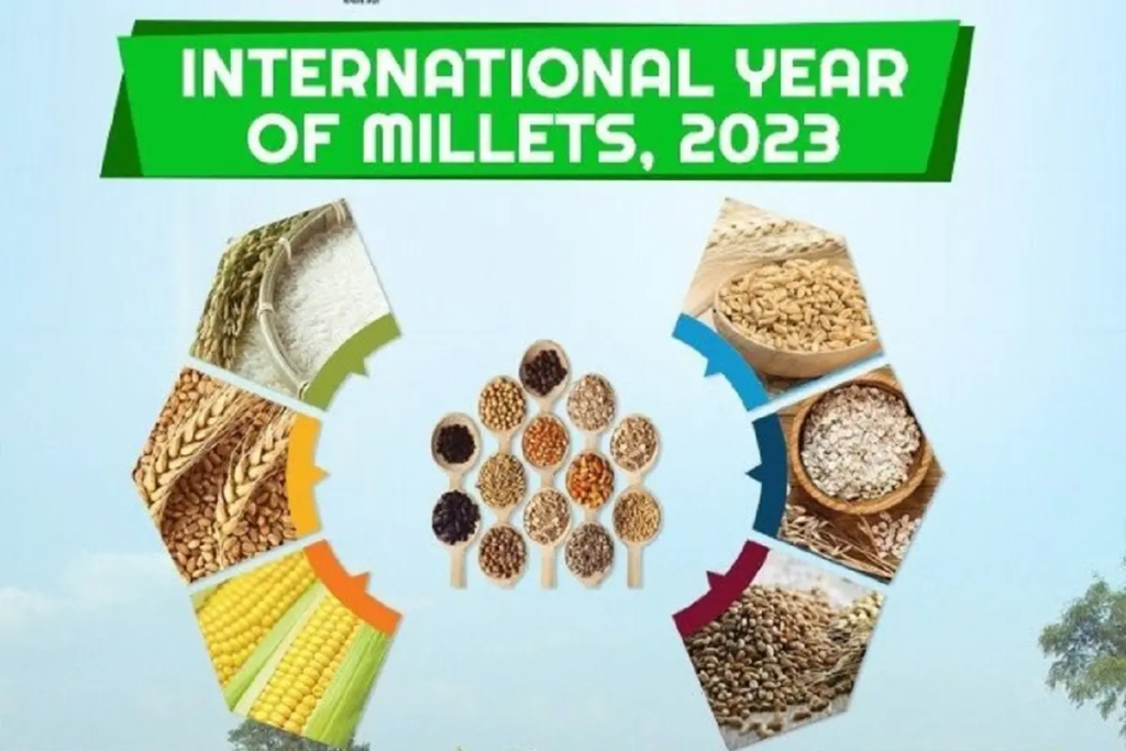 #IYM2023 के साथ वर्ष के लिए मोटे अनाज के फोकस में रहने के कारण, यह अभियान अधिक लोगों को #श्री अन्न अपनाने के लिए प्रेरित करता है: डॉ. मनिंदर कौर द्विवेदी