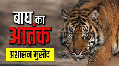 टाइगर के आतंक से उत्तराखण्ड के इन गांवों में लगा कर्फ्यू,17 व 18 अप्रैल को स्कूल/आंगनबाड़ी केंद्र बंद