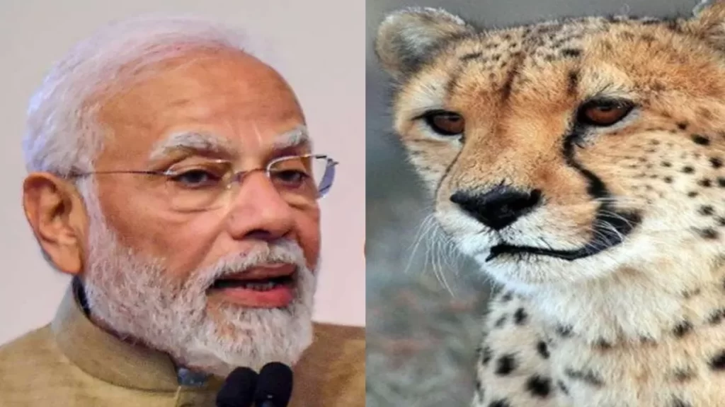 प्रधानमंत्री ने चीता नामकरण प्रतियोगिता के विजेताओं को बधाई दी