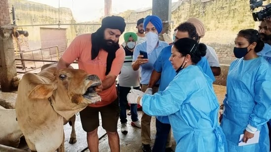 पशुपालन और डेयरी विभाग, भारतीय पशु चिकित्सा परिषद के सहयोग से कल विश्व पशु चिकित्सा दिवस-2023 का करेगा आयोजन