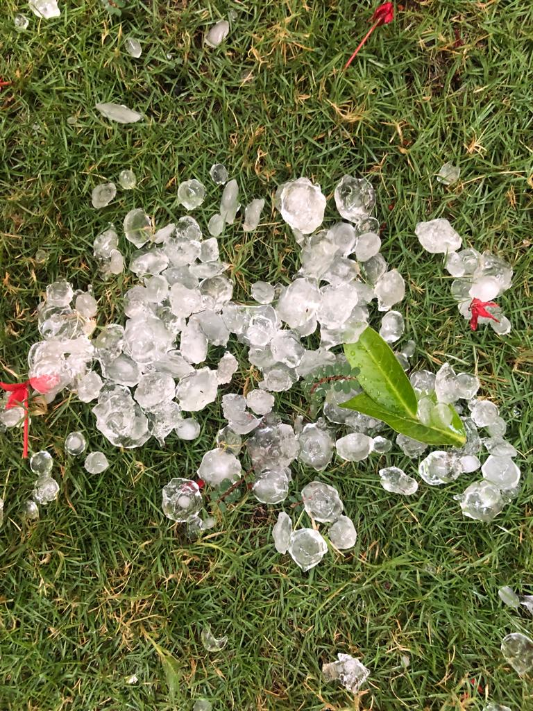 मध्य प्रदेश में बारिश: इंदौर, बुरहानपुर, धार, बड़वानी में तेज वर्षा, गिरे ओले , फसलों को नुकसान