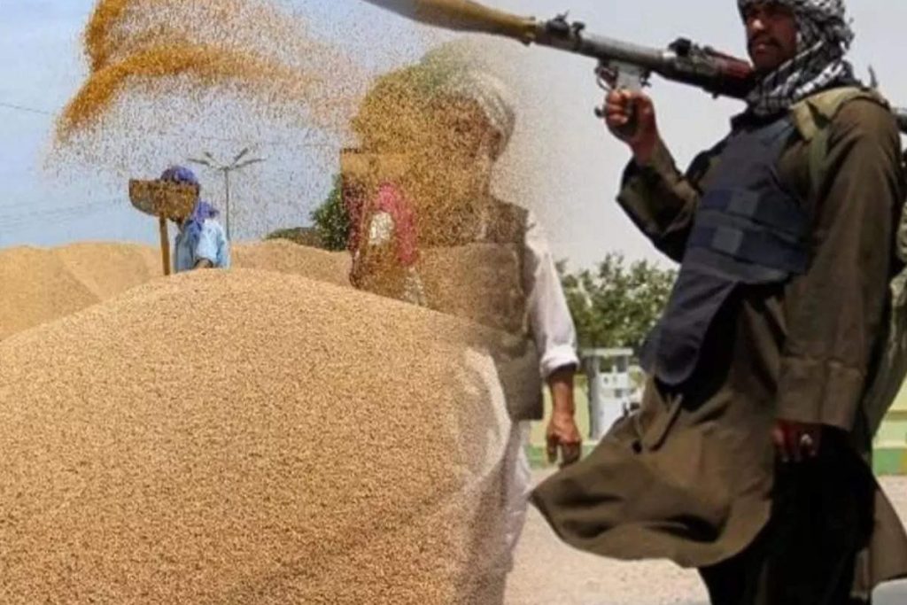 भारत ने पाकिस्तानी रास्ते को दरकिनार कर ईरान से अफगानिस्तान भेजा अनाज