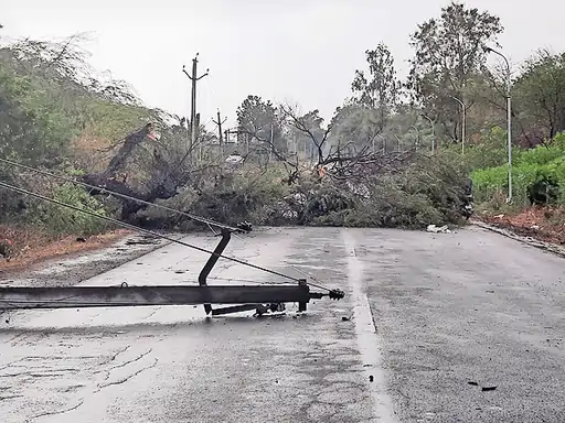उत्तराखंड की तरफ तेजी से बढ़ रहा बिपरजॉय तूफान, राजस्थान के कई इलाकों में भारी बारिश, पेड़-बिजली के टूटे पोल