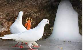 क्या आप जानते हैं, अमरनाथ गुफा में कबूतर का जोड़ा क्यों बैठा रहता है? आइए जानें इसका रहस्य?