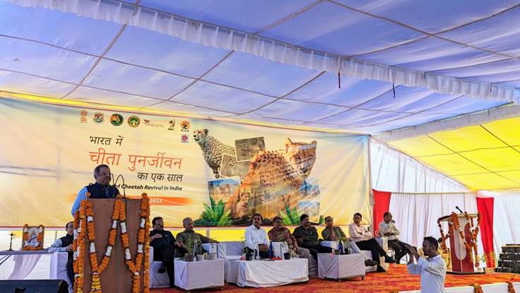 भारत में प्रोजेक्ट चीता के सफल कार्यान्वयन के एक वर्ष का उत्सव