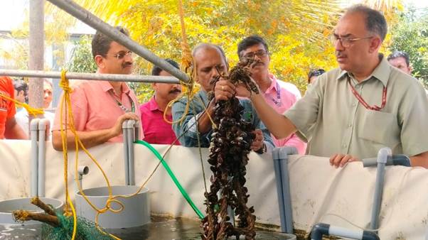 मत्स्य पालन विभाग के सचिव डॉ. अभिलक्ष लिखी ने विझिंजम में आईसीएआर-सीएमएफआरआई क्षेत्रीय केंद्र की गतिविधियों की समीक्षा करने के लिए केरल का किया दौरा