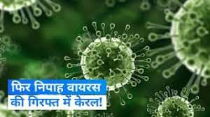 केरल में मिला बांग्लादेशी Nipah Virus का वैरिएंट कितना घातक? स्कूल-कॉलेज दो दिनों के लिए बंद, सरकार ने की अपील