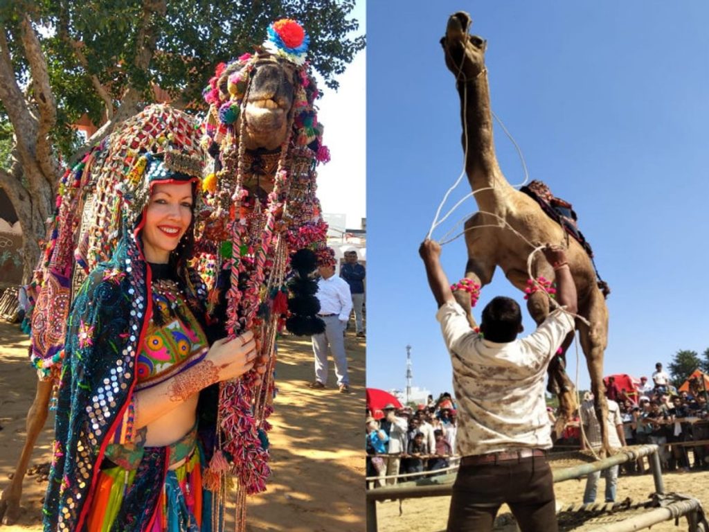 विधानसभा चुनाव के कारण बदला गया पुष्कर मेले का शेड्यूल, जानें कब होगा कार्यक्रम का आयोजन