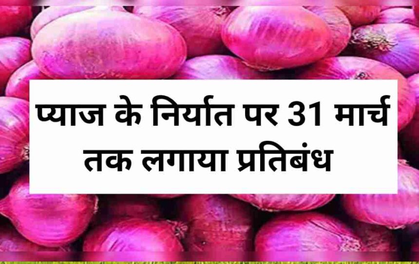 केंद्र सरकार ने मार्च 2024 तक प्याज के एक्सपोर्ट पर लगाई रोक