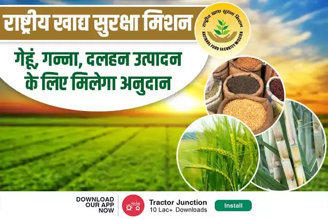 केंद्र सरकार राष्ट्रीय खाद्य सुरक्षा मिशन-पौष्टिक अनाज कर रही है लागू
