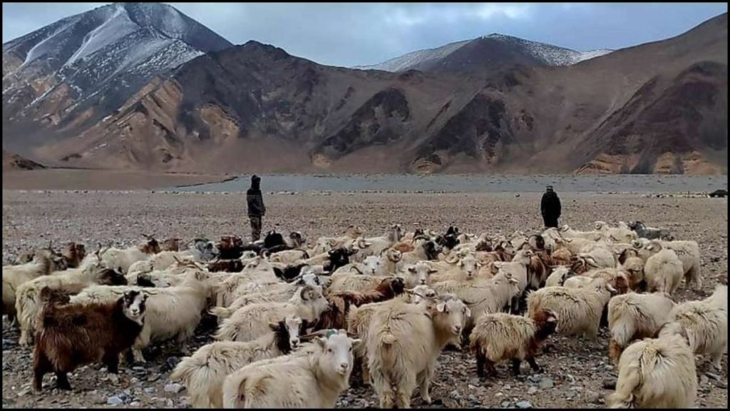 कांग्रेस ने किया दावा- चीनी सैनिकों ने लद्दाख में भारत के चरवाहों को रोका, वीडियो शेयर कर पीएम पर साधा निशाना