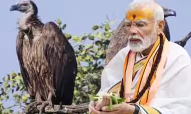 अयोध्या में राम मंदिर के उद्घाटन के साथ गिद्धराज जटायु की विशेष पूजा करेंगे पीएम मोदी, जानें क्या है खास