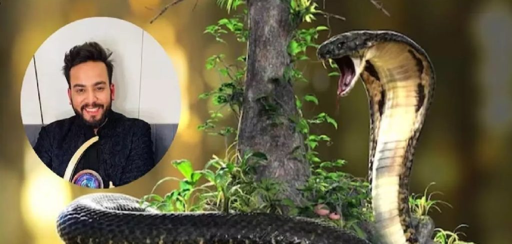 यूट्यूबर एल्विश यादव को सांपों के जहर मामले में बड़ी राहत, कोर्ट ने को दी जमानत