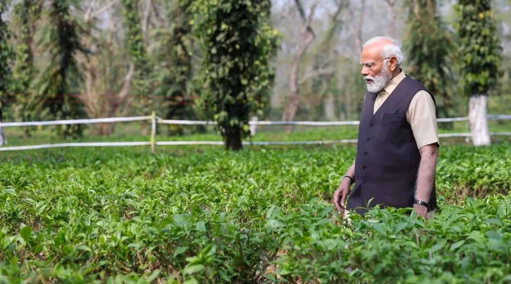 प्रधानमंत्री ने असम के चाय बागान में काम करने वाले लोगों की कड़ी मेहनत के लिए की सराहना