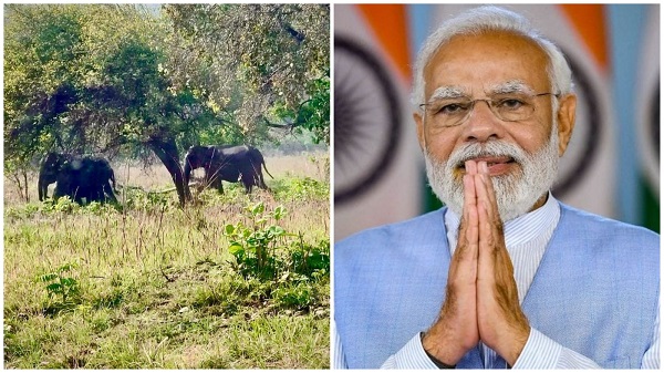 प्रधानमंत्री मोदी ने विश्व वन्यजीव दिवस पर पशु प्रेमियों को बधाई दी