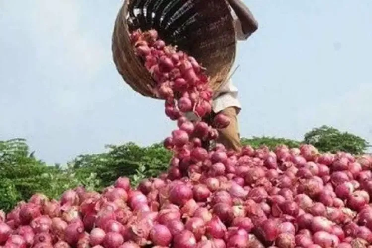 केन्द्र ने छह देशों बांग्लादेश, संयुक्त अरब अमीरात, भूटान, बहरीन, मॉरीशस और श्रीलंका को 99,150 एमटी प्याज के निर्यात की दी अनुमति