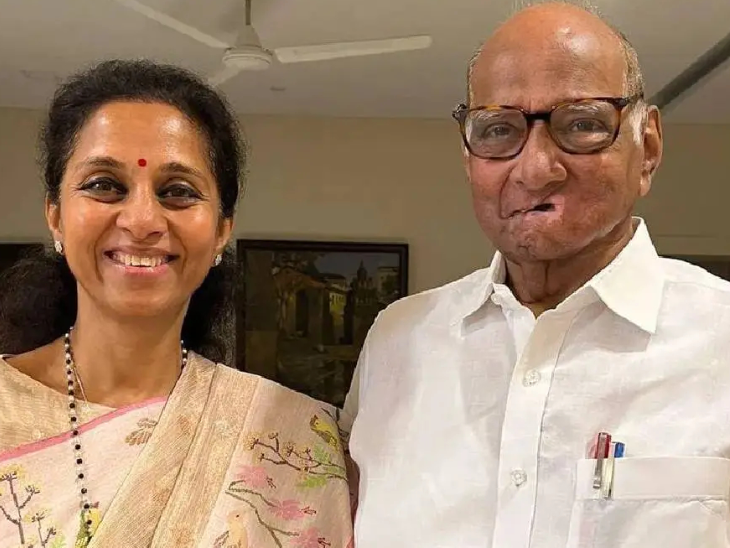 एनसीपी ने हिमाचल प्रदेश में उपचुनाव लड़ने का किया ऐलान
