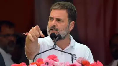 यह एग्जिट पोल नहीं है, यह मोदी मीडिया का पोल है: राहुल गांधी