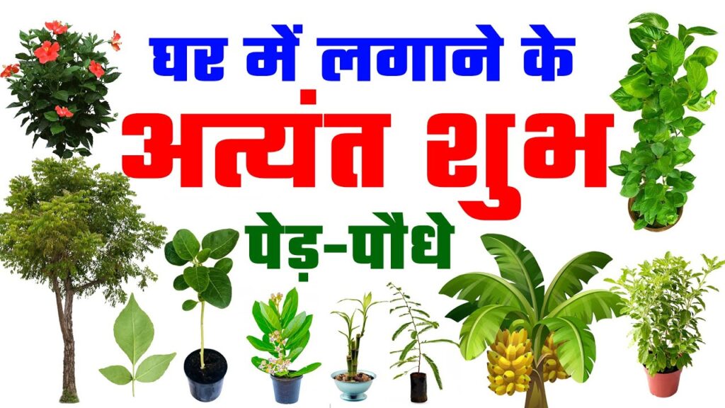 कौन कौन से पेड़ लगाएं कि ज्यादा लाभ हो और परिश्रम सही दिशा में हो…👇🏻👇🏻