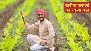 उड़द की कीमतों में कमी आने लगी, बारिश से खरीफ की बुआई का रकबा बढ़ा