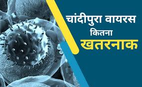 गुजरात में चांदीपुरा वायरस से 6 बच्चों की मौत, जानें क्या हैं इसके लक्षण