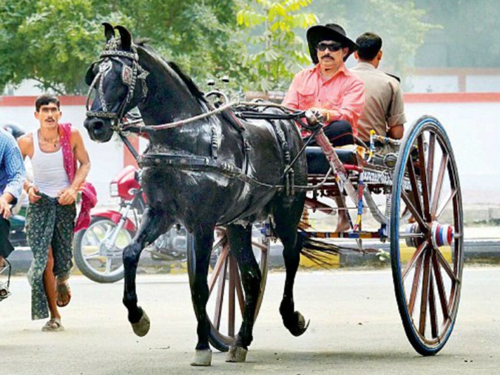दीवारों से झांकती राइफल की नाल, तांगों का चक्रव्यूह… बाहुबली अनंत सिंह की हिस्ट्री में घनघोर फिल्मी मसाला