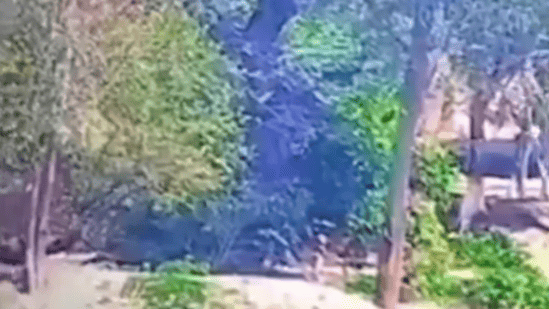 ऑपरेशन सिंदूर: BSF हमले में पाकिस्तानी जवान भागते दिखे, वीडियो जारी ऑपरेशन सिंदूर: BSF हमले में पाकिस्तानी जवान भागते दिखे, वीडियो जारी
