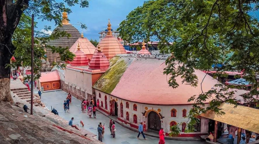 माँ कामाख्या मंदिर को नर बलि से जोड़ने की घटिया साजिश ?: CNN News18 पर PPFA का कड़ा प्रहार माँ कामाख्या मंदिर को नर बलि से जोड़ने की घटिया साजिश