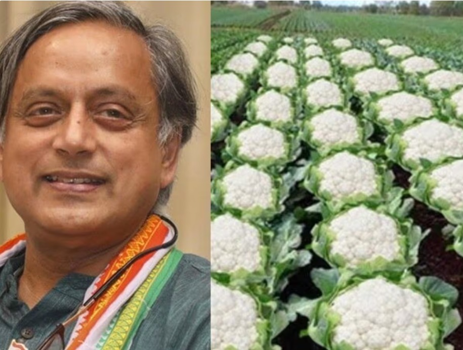 गोभी की खेती विवाद: BJP मंत्री के पोस्ट पर थरूर बोले- ‘प्राउड हिंदू’ होने के नाते…
