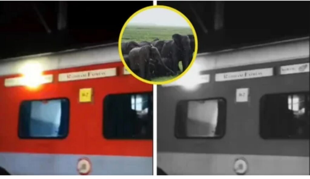 असम में दर्दनाक हादसा: राजधानी एक्सप्रेस से टकराया हाथियों का झुंड, 8 की मौत