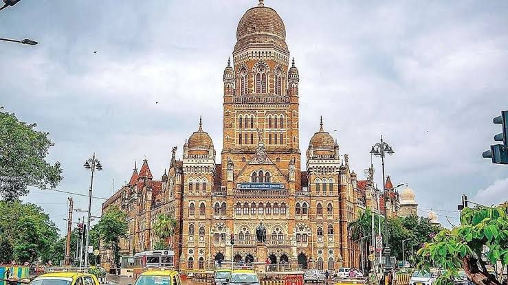बीएमसी चुनाव: शरद पवार और ठाकरे बंधुओं का कांग्रेस से किनारा बीएमसी चुनाव: शरद पवार और ठाकरे बंधुओं का कांग्रेस से किनारा