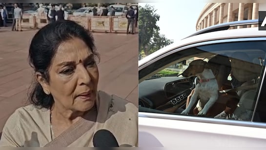 संसद में कुत्ता लाने पर सवाल तो भड़कीं कांग्रेस सांसद रेणुका चौधरी