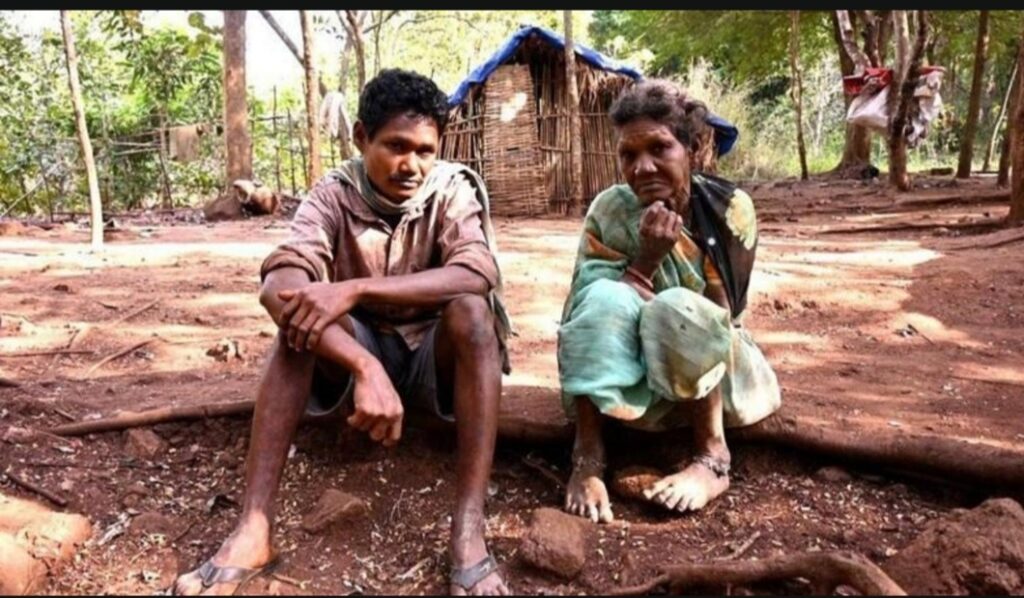 न बिजली, न मोबाइल, फिर भी जंगल नहीं छोड़ा: तेलंगाना की पहाड़ी पर अनोखा जीवन